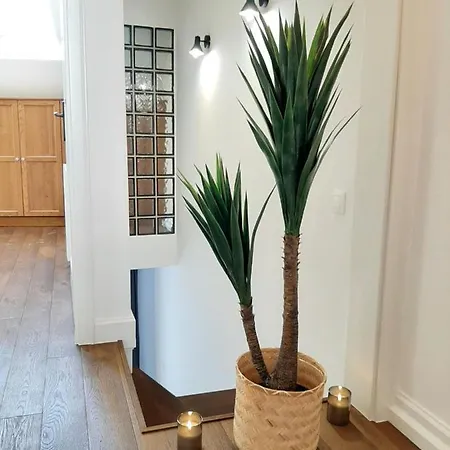 Apartment Newone Sopron
